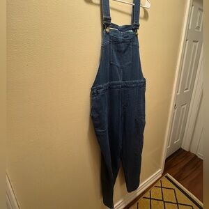 Anthropologie Blue Denim Overalls